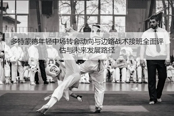 多特蒙德年轻中场转会动向与边路战术接班全面评估与未来发展路径